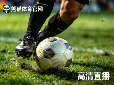 熊猫体育官网高清直播画面 - 足球比赛特写镜头